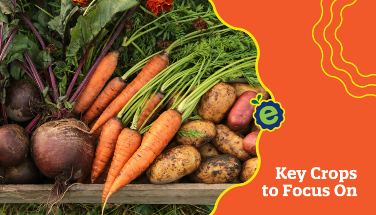 What to Plant in March: Key Crops to Focus On (And Why It Matters)