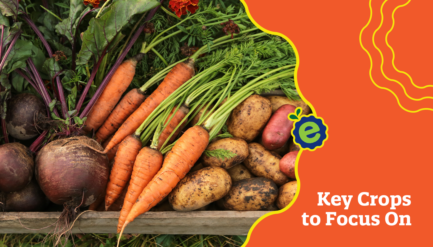 What to Plant in March: Key Crops to Focus On (And Why It Matters)