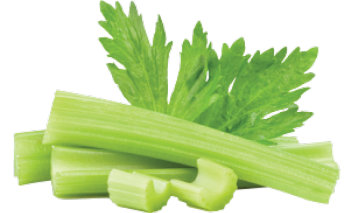 Earthmade_Website_Celery