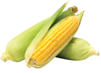 Earthmade_Website_Corn